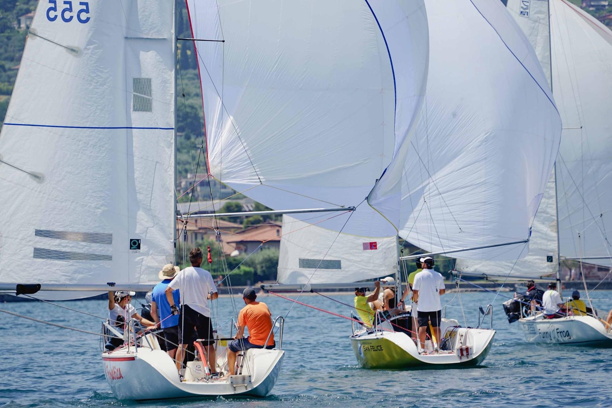 Regata Garda